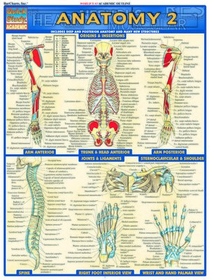 cover image of Anatomy 2--Reference Guide (8.5 x 11)